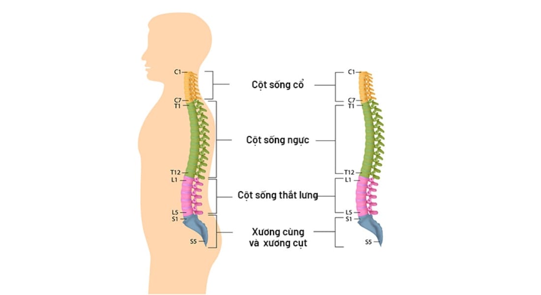 gai cột sống cổ và thắt lưng