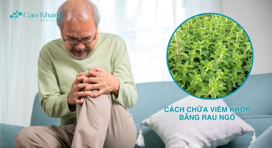 rau ngổ chữa viêm khớp