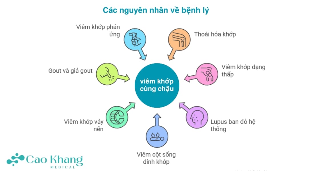 Các nguyên nhân về bệnh lý