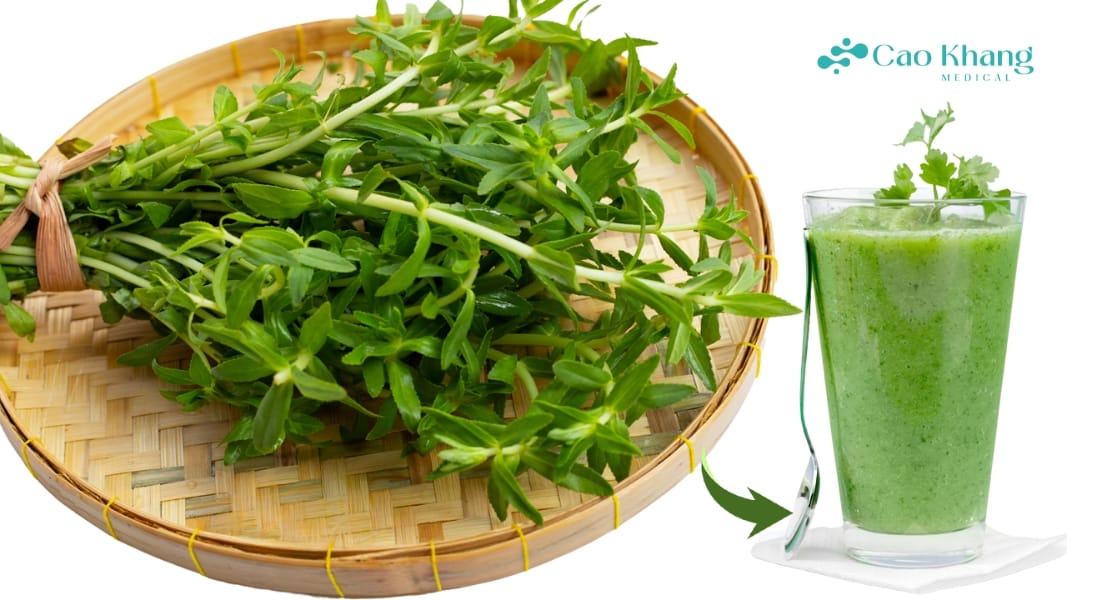 nước ép rau ngổ
