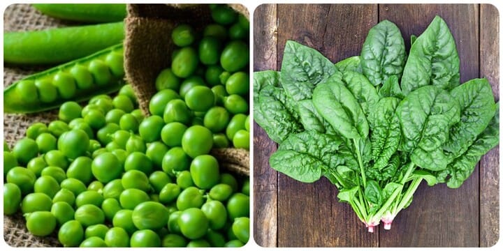 rau xanh trị bệnh