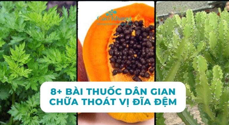 8+ Bài thuốc dan gian chữa thoát vị đĩa đệm (1)