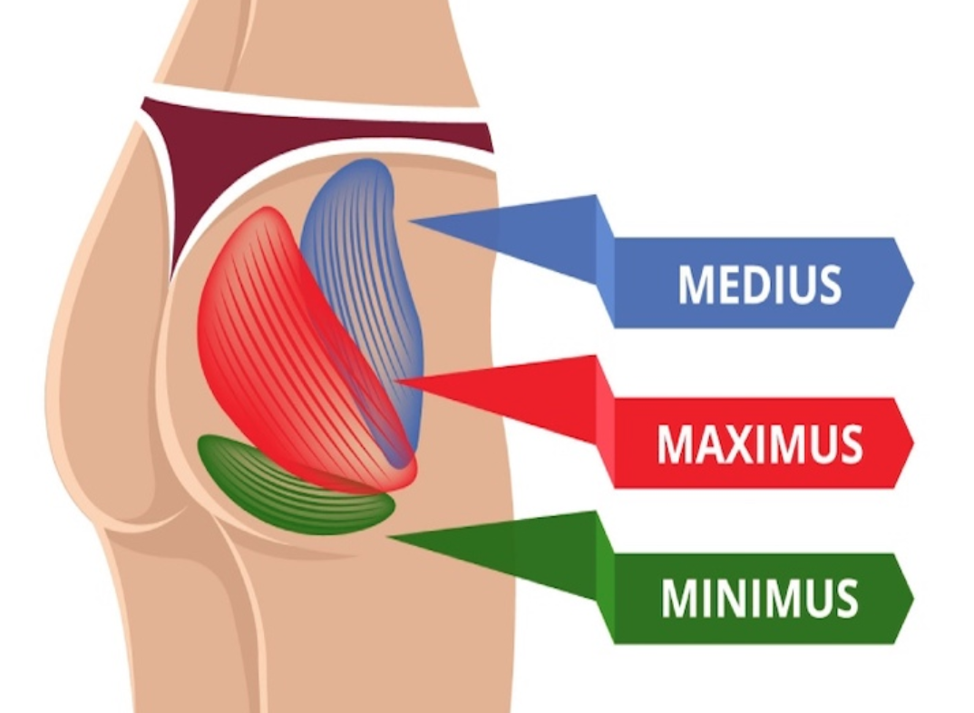 điều trị đau cơ mông