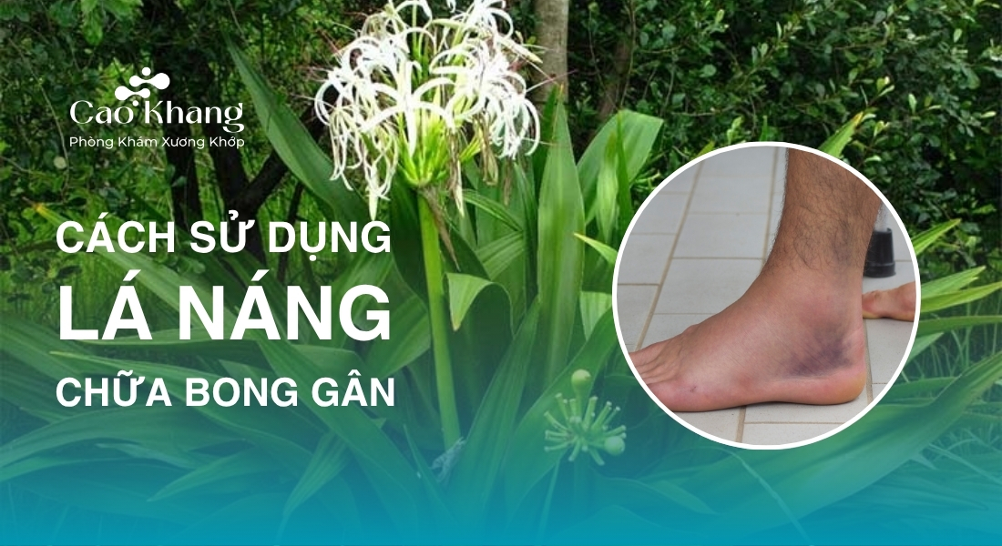lá náng chữa bong gân