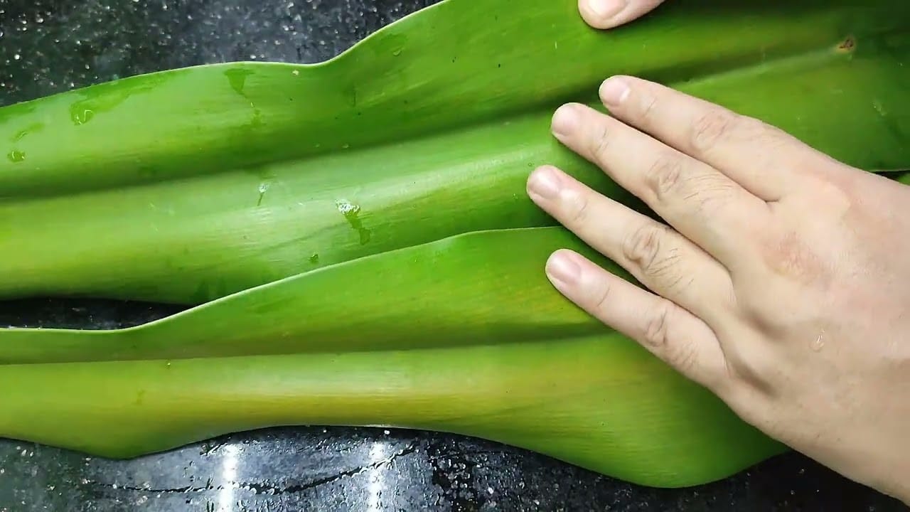 đắp lá náng tươi chữa bong gân