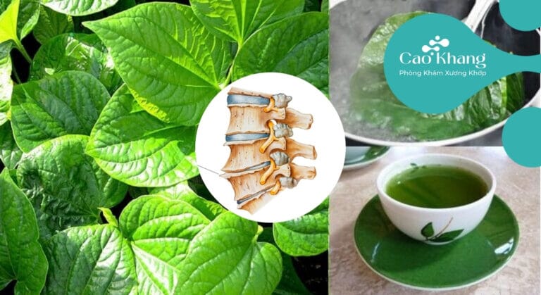 thuốc đắp trị gai cột sống