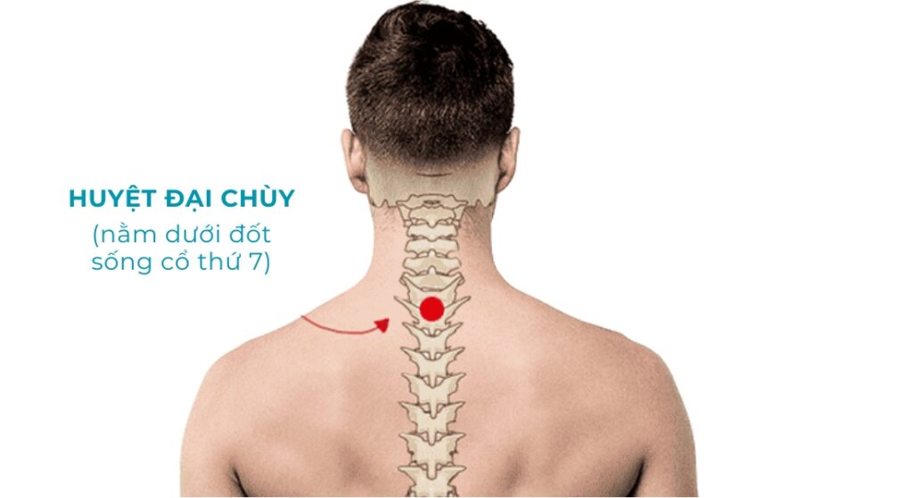 HUYỆT ĐẠI CHÙY