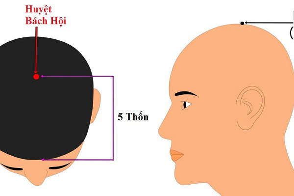 cach-xac-dinh-huyet-bach-hoi