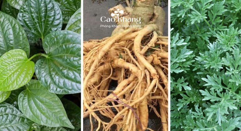 bài thuốc dân gian chữa thoái hóa khớp gối