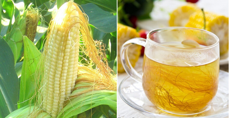uống nước râu ngô