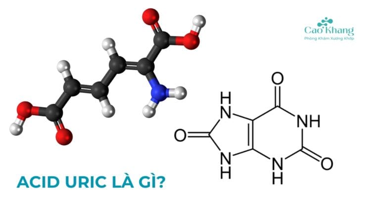 Acid Uric là gì