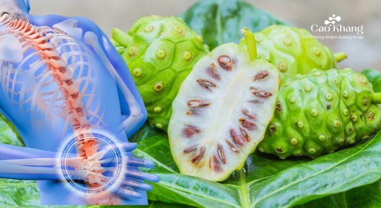 cách ngâm trái nhàu trị đau lưng