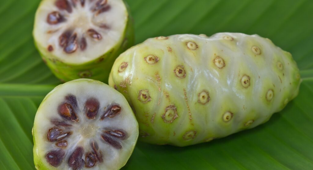 hình ảnh trái nhàu