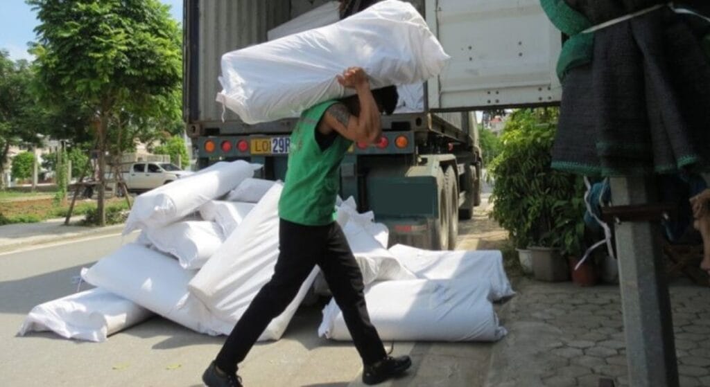 nguyên nhân đau lưng không cúi được