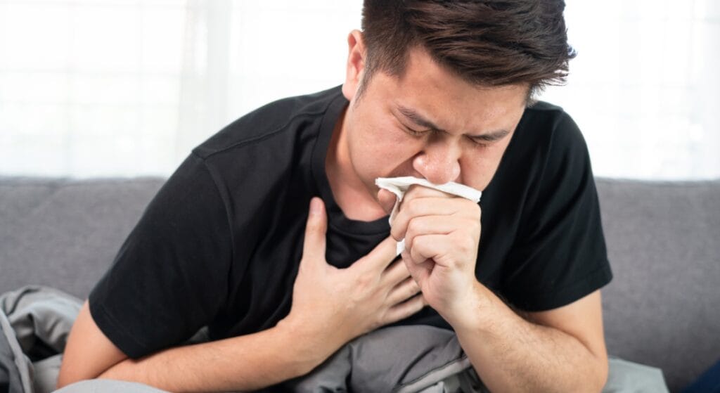 cây cam thảo đất trị ho