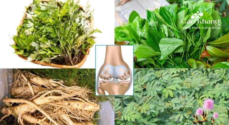 8 loại cây thuốc nam chữa tràn dịch khớp