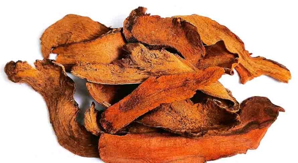 cây cốt toái bổ khô