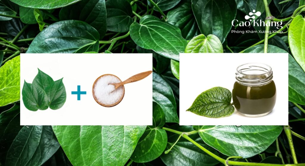 lá lốt chữa tràn dịch khớp