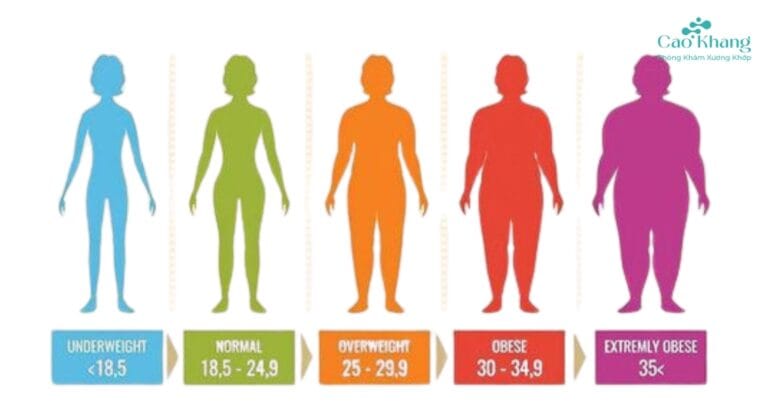 mức độ béo phì BMI châu âu