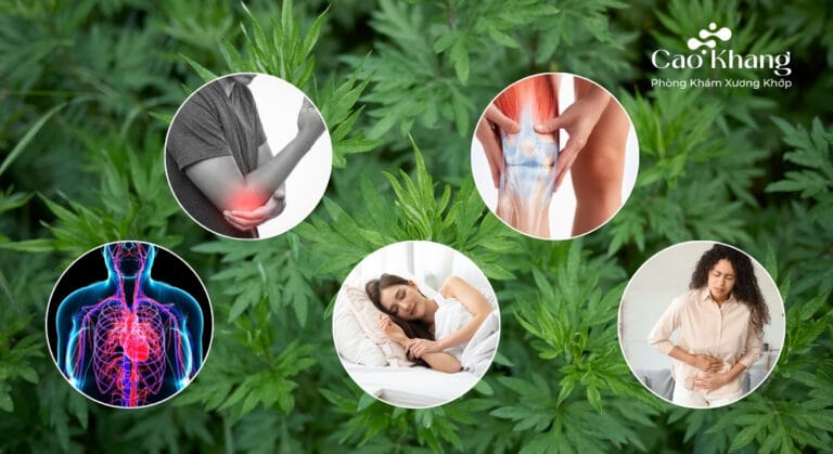 ngải cứu có tác dụng gì