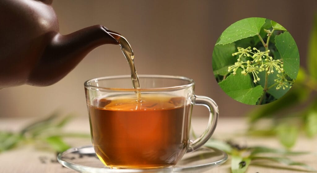 nước cây chìa vôi