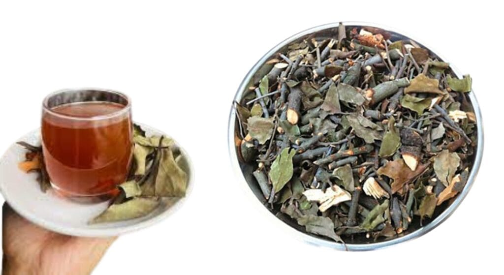nước cây tầm gửi khô