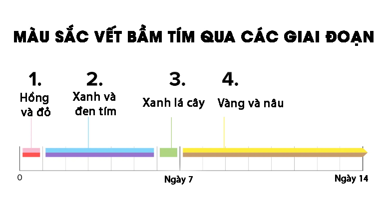 quá trình đổi màu của vết bầm tím