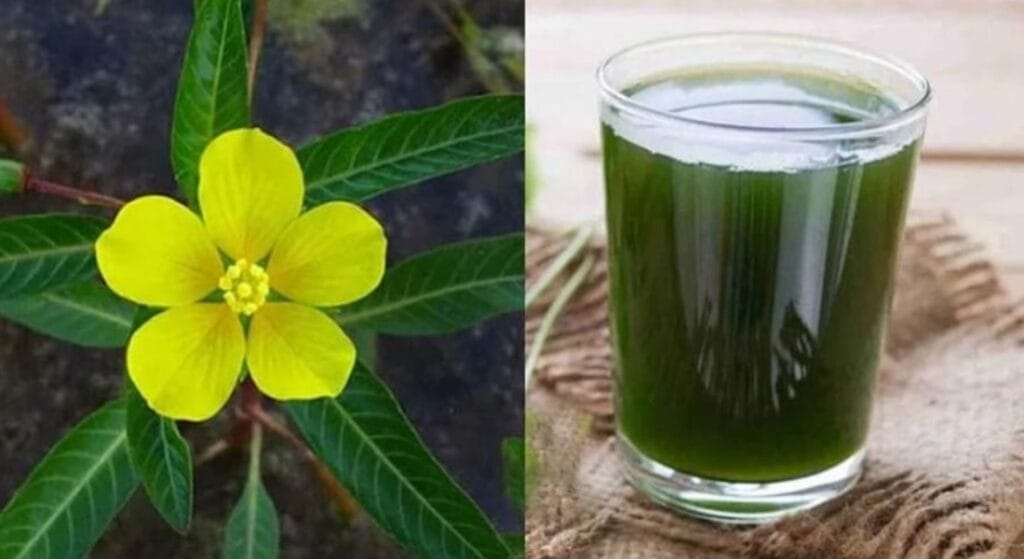 sắc nước cây rau mương