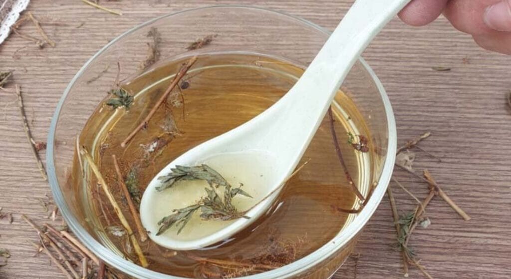 sắc nước cây xấu hổ