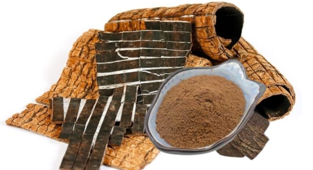thân cây đỗ trọng dạng bột