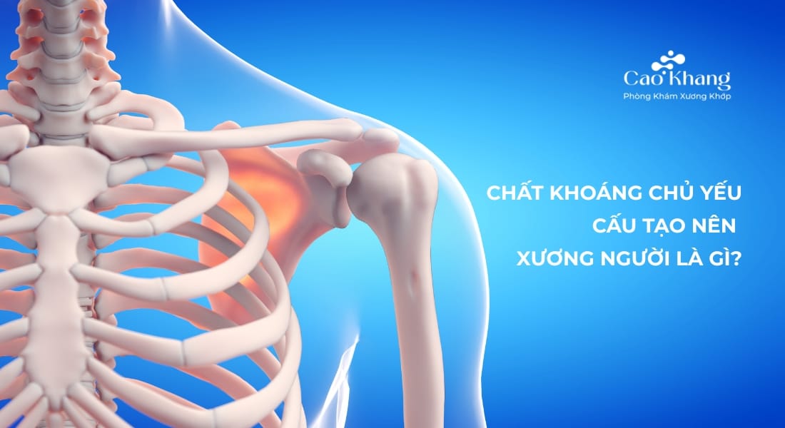 chất khoáng chủ yếu cấu tạo nên xương người là