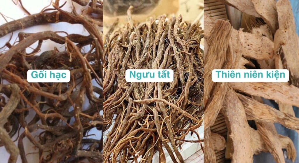 gối hạc chữ xương khớp