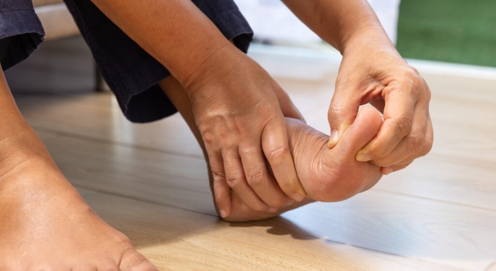 lá trầu không trị đau xương khớp