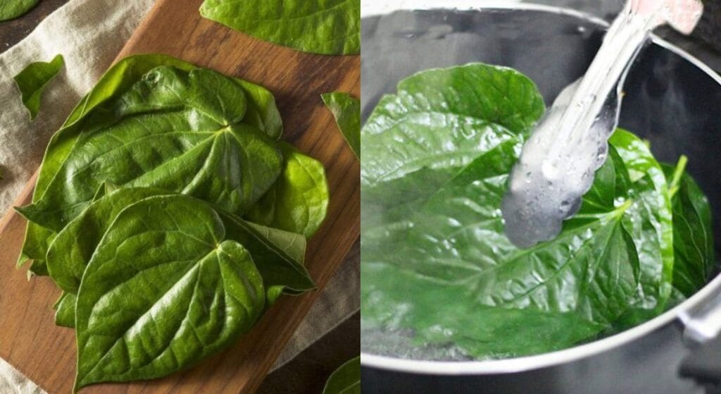 nấu nước lá trầu không