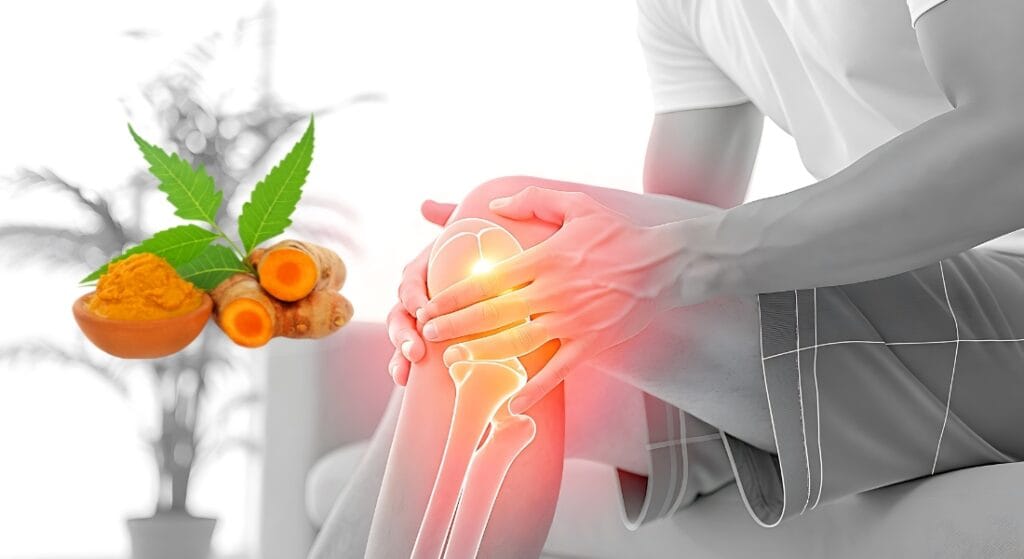 nghệ tươi giảm đau xương khớp