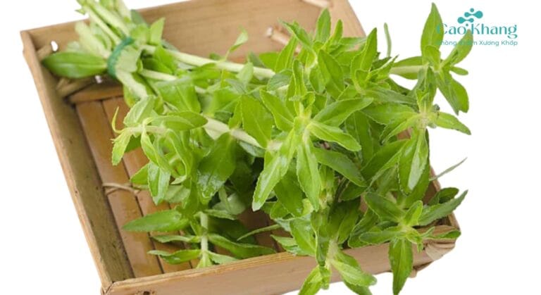 rau ngổ có tác dụng gì