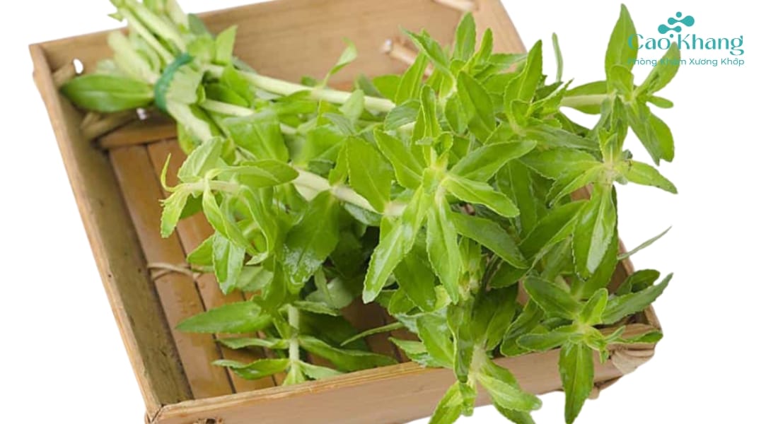 rau ngổ có tác dụng gì