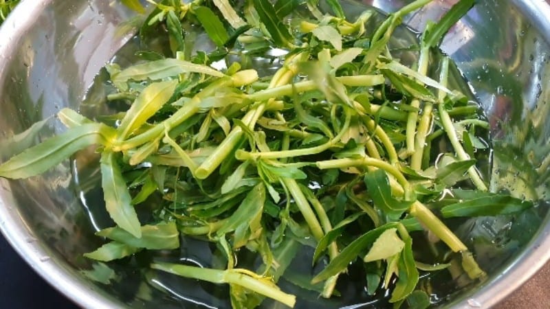 sơ chế rau ngổ