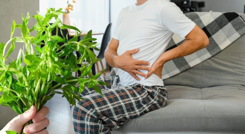 tác dụng cây rau ngổ