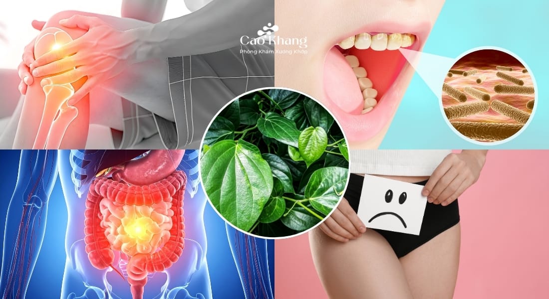 tác dụng của lá trầu không