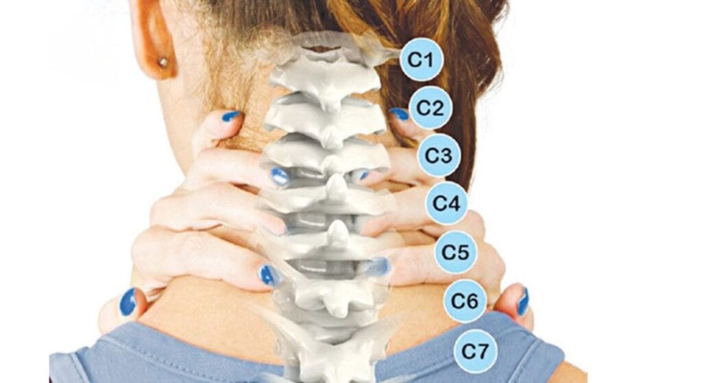 7 đốt sống cổ