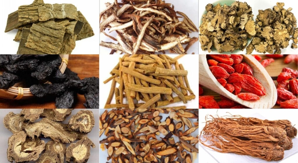 bài thuốc đôg y chữa xẹp đốt sống lưng