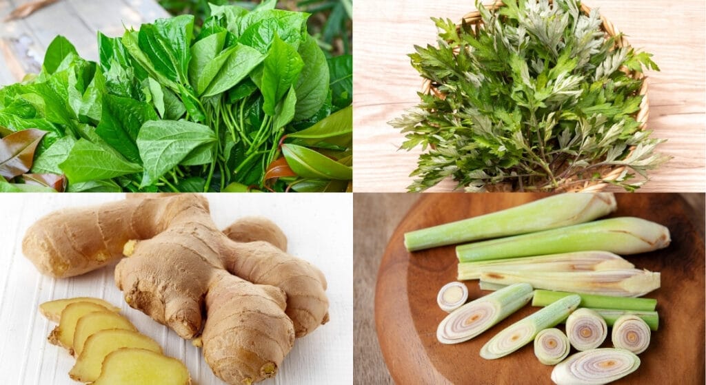 chữa đau thần kinh toạ