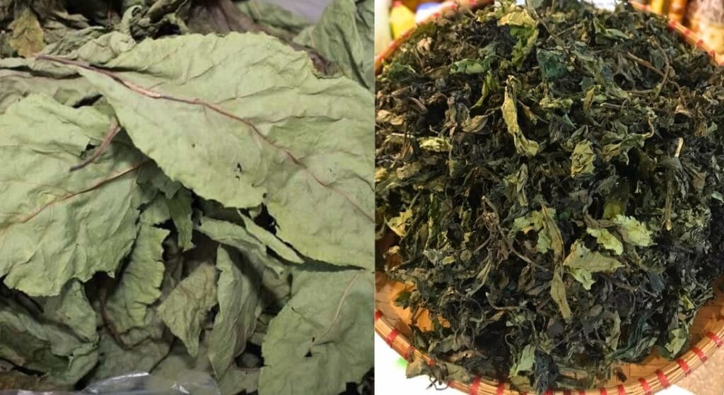 lá đắng phơi khô