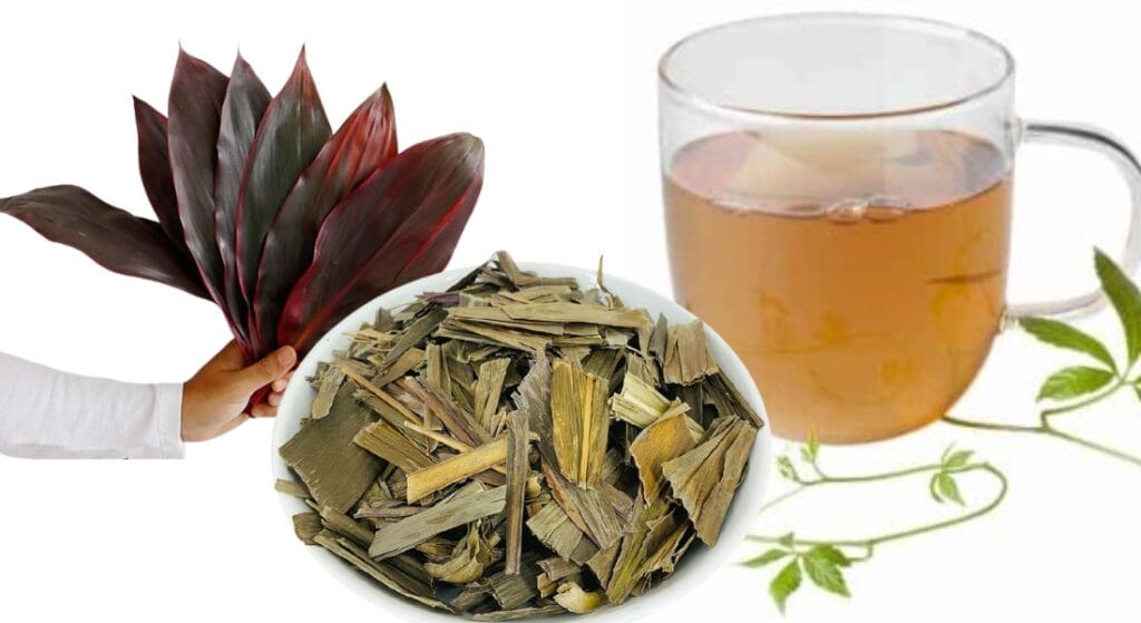 nước lá huyết dụ