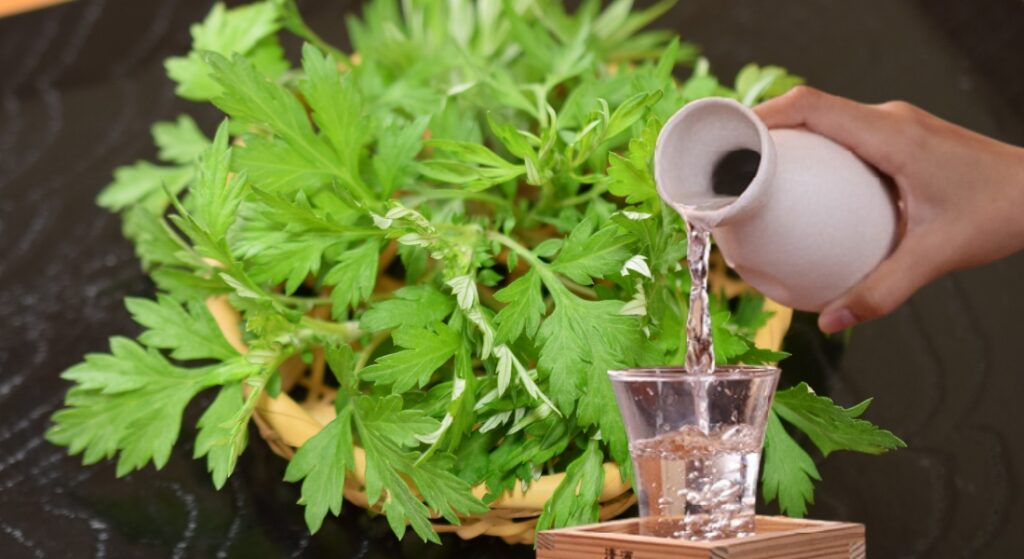 rượu ngải cứu