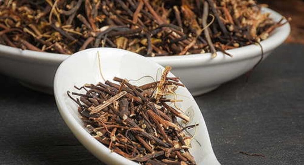 uy linh tiên khô ngâm rượu