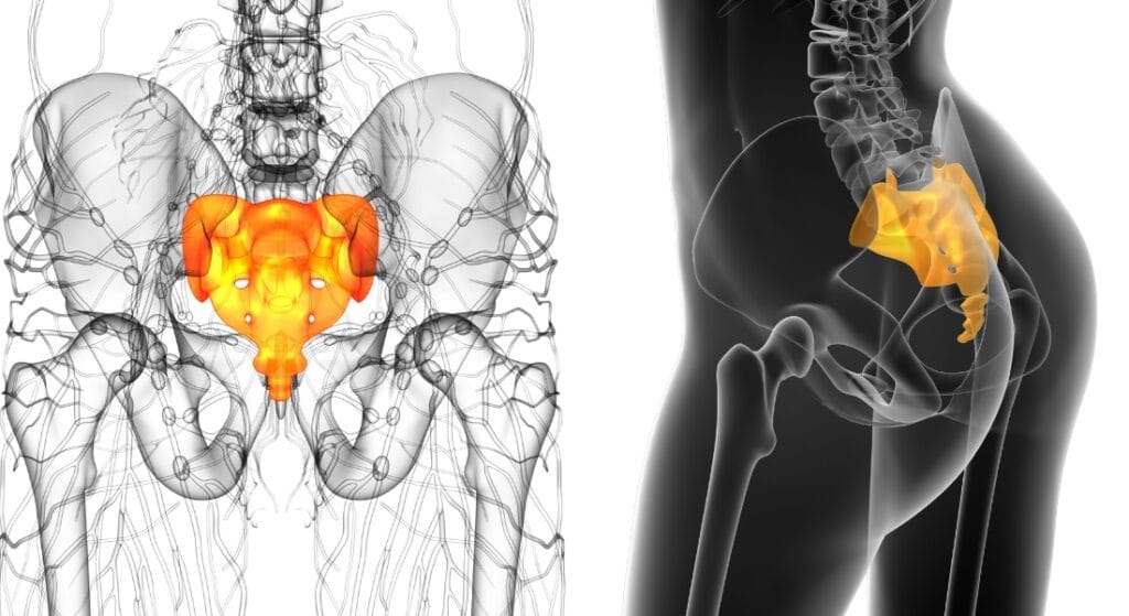 vị trí của xương cụt