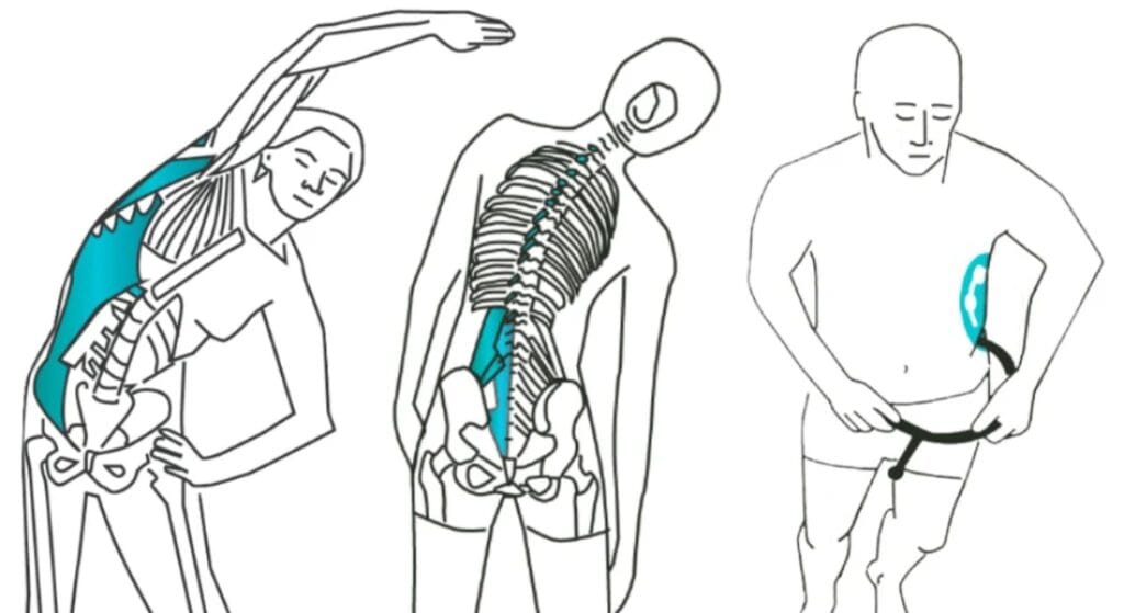 bài tập kéo giãn cơ vuông thắt lưng