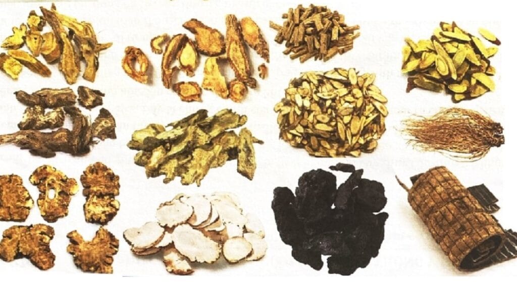 quế chi kết hợp